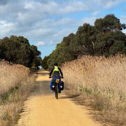 Straight on through eucalyptus following the orange sand track