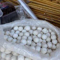 Kurt - ein traditioneller Nomaden-Snack, den wir erst in Kirgisistan probiert haben.