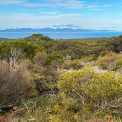Our first view of Wilsons Promontory