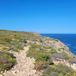 Bigurda Trail