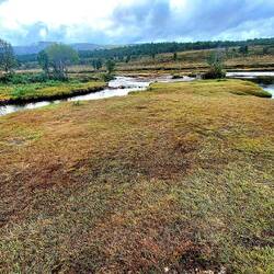 Geprägt durch Weite,....