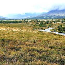 Man kommt aus dem Staunen garnicht raus