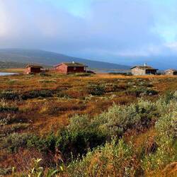 Leben auf der Hochebene....