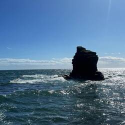 Leatheronwheelharbour