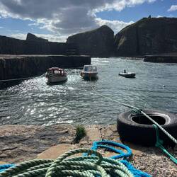 Am Latheronwheel Harbour haben wir Mittag gegessen 😇