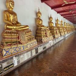 There were 180 of them. Maybe people interred? Have placards for each family member