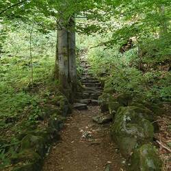 der Grimmsteig mündet in die Seesteine