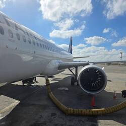 Unser kleiner Flieger, diesmal ein Airbus