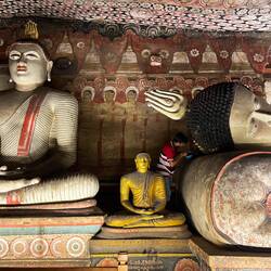 Hier gibt's ne neue Haarfärbe 😅