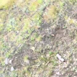 More stack-talk. Only foamers need apply...