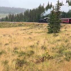 Negotiating Tanglefoot Curve