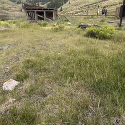 The old coaling stage at Osier. A covered turntable was sited immediately at the photographer's feet