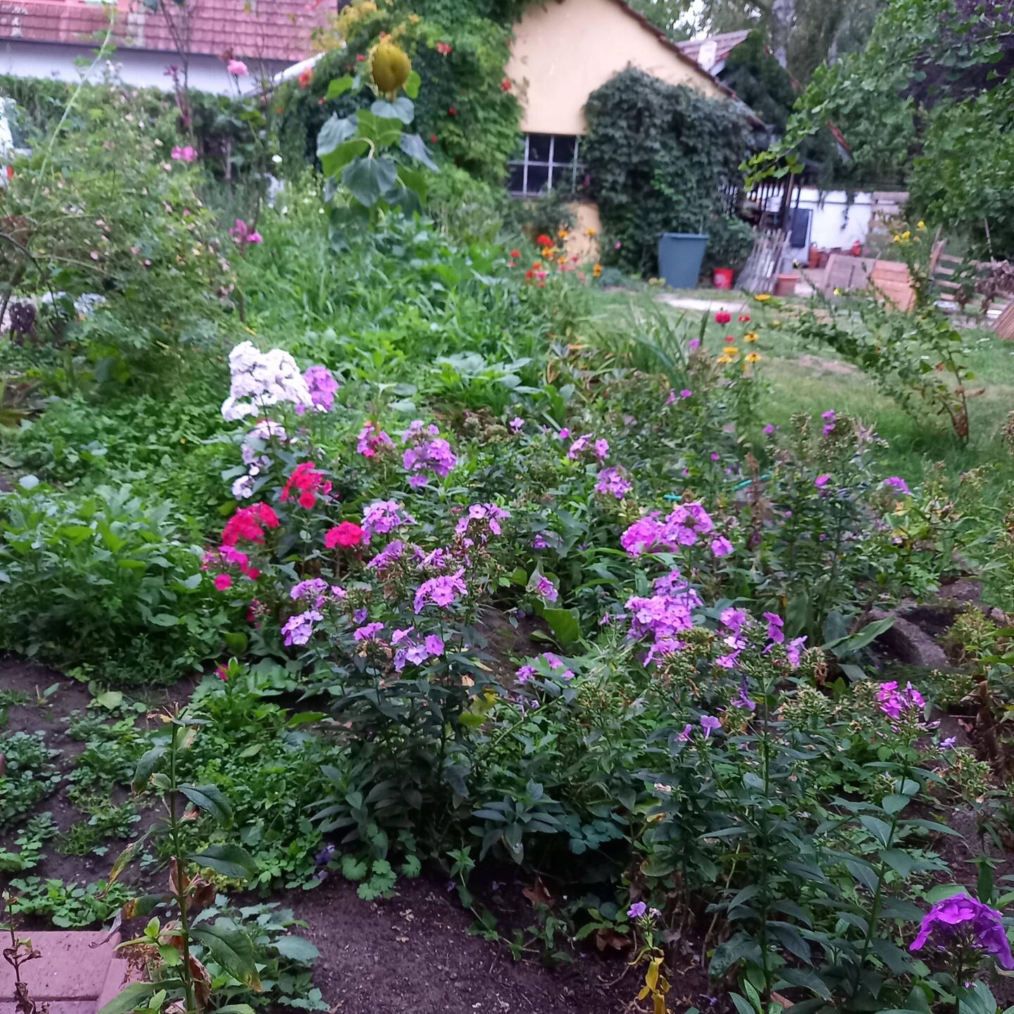 Noch ganz bunt