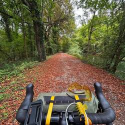Kurze Schweigeminute bitte für den endenden Sommer 💔