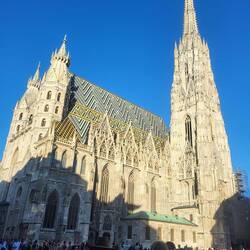 Der Stephansdom