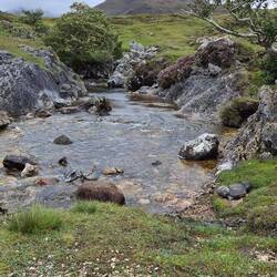 The Fairy pools