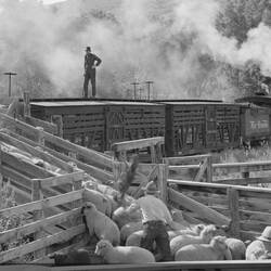 Loading stock on the D&RGW narrow-gauge