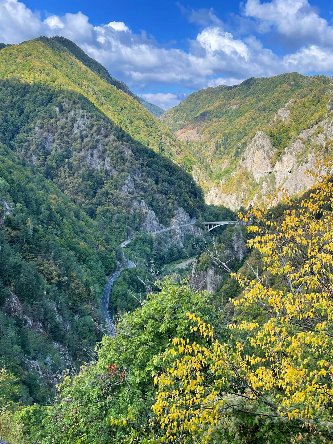 Widok na trasę transfogarską