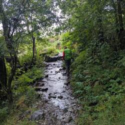 Watery trails