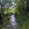 Watery trails