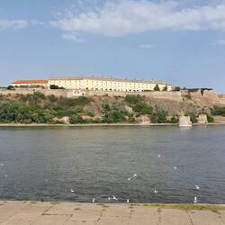 Hier mündet der Abwasserkanal in die Donau