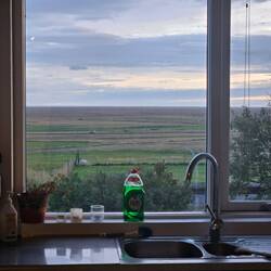 Ausblick aus dem Küchenfenster