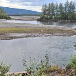 Klondike Mündung in den Yukon