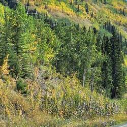 Vorgeschmack auf den Indian Summer