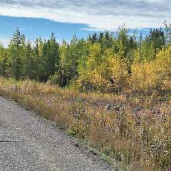 Herbstimpressionen