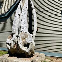 Hier gibt es ein College of the Atlantic,... etwas Natur Bildung zum Tagesabschluss