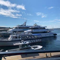 Überall kann man Wal watching, 🦞 fangen oder andere Ausflüge buchen. Es wimmelt von kleinen Städchen