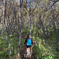 Hiking back to our vehicle through an Icelandic forest