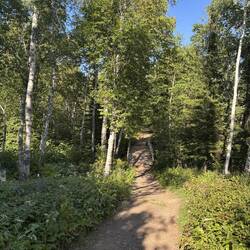 A bridge on a shoreline hiking trail