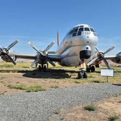 Interessanter Rumpfquerschnitt