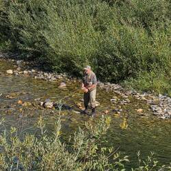 Fly fishing in a stream