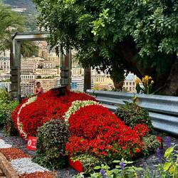 Ferrari in Blumendesign