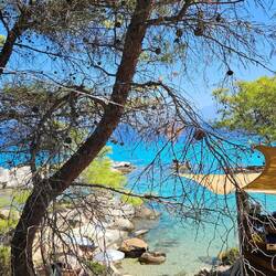 Beachbar im Pinienwald