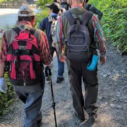 Wanderer mit Bärenglocken