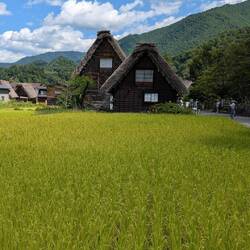 Der Gasshō-zukuri-Stil