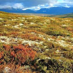 ....mit traumhaften Ausblicken