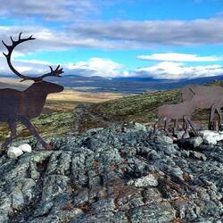 Leider keine Moschussichtung...