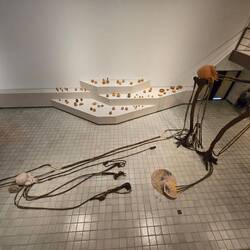Biennale?