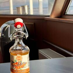 Seeeeehr gesund: Sanddorn. Schmeckt wie ein Schluck Biostraht😉