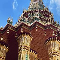 Nasty looking creatures