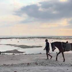 Direkt kitschig mit Pferd am Strand