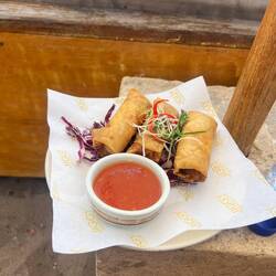 Frühlingsrollen als kleiner snack am Vormittag