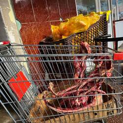 HORSE LEFTOVERS.