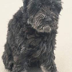 😝 Grummel-Leni nach dem Sandbaden