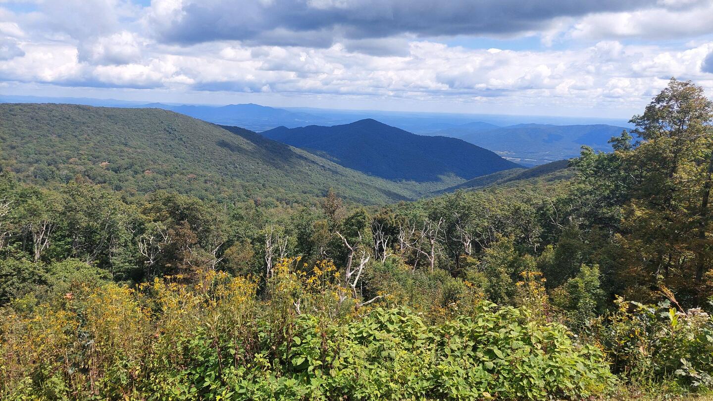 Blue Ridge Parkway