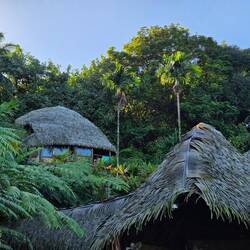 Vanina Lodge, juste avant Teahupoo